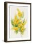 Yellow Flowers, Golden Rod-ZPR Int’L-Framed Giclee Print