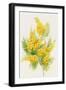 Yellow Flowers, Golden Rod-ZPR Int’L-Framed Giclee Print