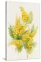 Yellow Flowers, Golden Rod-ZPR Int’L-Stretched Canvas