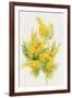 Yellow Flowers, Golden Rod-ZPR Int’L-Framed Giclee Print