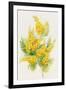 Yellow Flowers, Golden Rod-ZPR Int’L-Framed Giclee Print