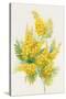 Yellow Flowers, Golden Rod-ZPR Int’L-Stretched Canvas