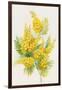 Yellow Flowers, Golden Rod-ZPR Int’L-Framed Giclee Print