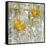 Yellow Flowers I-Carol Black-Framed Stretched Canvas