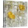 Yellow Flowers I-Carol Black-Stretched Canvas