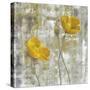 Yellow Flowers I-Carol Black-Stretched Canvas