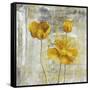 Yellow Flowers II-Carol Black-Framed Stretched Canvas