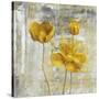 Yellow Flowers II-Carol Black-Stretched Canvas