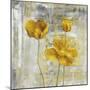 Yellow Flowers II-Carol Black-Mounted Art Print