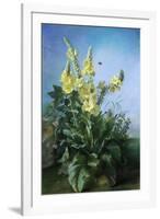 Yellow Flowers in Front of the Blue Sky-Louis-Apollinaire Sicard-Framed Giclee Print