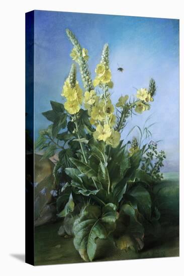 Yellow Flowers in Front of the Blue Sky-Louis-Apollinaire Sicard-Stretched Canvas