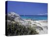 Yellow Flowers on the Beach, Formentera, Balearic Islands, Spain, Mediterranean, Europe-Vincenzo Lombardo-Stretched Canvas