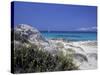 Yellow Flowers on the Beach, Formentera, Balearic Islands, Spain, Mediterranean, Europe-Vincenzo Lombardo-Stretched Canvas
