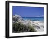 Yellow Flowers on the Beach, Formentera, Balearic Islands, Spain, Mediterranean, Europe-Vincenzo Lombardo-Framed Photographic Print