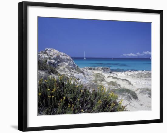 Yellow Flowers on the Beach, Formentera, Balearic Islands, Spain, Mediterranean, Europe-Vincenzo Lombardo-Framed Photographic Print