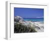 Yellow Flowers on the Beach, Formentera, Balearic Islands, Spain, Mediterranean, Europe-Vincenzo Lombardo-Framed Photographic Print