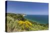 Yellow flowers on the promontory overlooking the turquoise sea, Conero Riviera, Marche, Italy-Roberto Moiola-Stretched Canvas