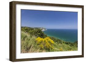 Yellow flowers on the promontory overlooking the turquoise sea, Conero Riviera, Marche, Italy-Roberto Moiola-Framed Photographic Print