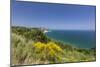 Yellow flowers on the promontory overlooking the turquoise sea, Conero Riviera, Marche, Italy-Roberto Moiola-Mounted Photographic Print