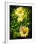 Yellow Flowers with a Butterfly-Cristina Carra Caso-Framed Photographic Print