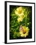 Yellow Flowers with a Butterfly-Cristina Carra Caso-Framed Photographic Print