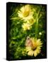 Yellow Flowers with a Butterfly-Cristina Carra Caso-Stretched Canvas