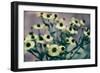 Yellow Flowers-Tim Kahane-Framed Premium Photographic Print