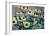 Yellow Flowers-Tim Kahane-Framed Premium Photographic Print