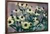 Yellow Flowers-Tim Kahane-Framed Photographic Print