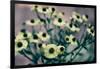 Yellow Flowers-Tim Kahane-Framed Photographic Print