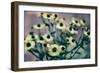 Yellow Flowers-Tim Kahane-Framed Photographic Print