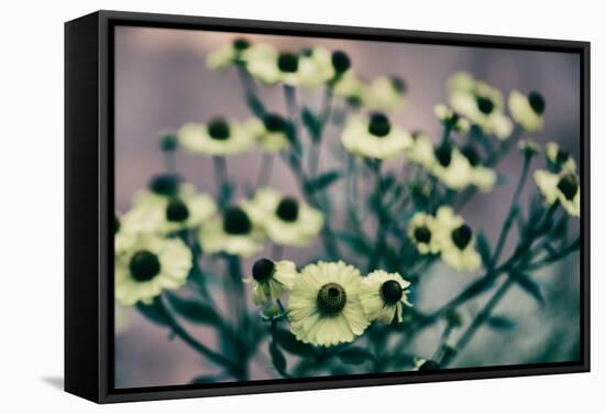 Yellow Flowers-Tim Kahane-Framed Stretched Canvas