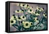 Yellow Flowers-Tim Kahane-Framed Stretched Canvas