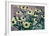 Yellow Flowers-Tim Kahane-Framed Photographic Print