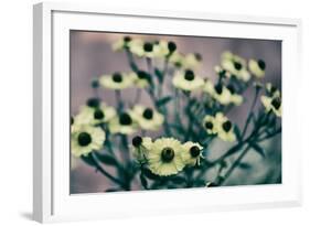 Yellow Flowers-Tim Kahane-Framed Photographic Print