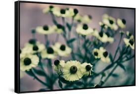 Yellow Flowers-Tim Kahane-Framed Stretched Canvas