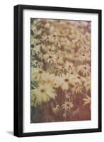 Yellow Flowers-Tim Kahane-Framed Premium Photographic Print