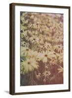 Yellow Flowers-Tim Kahane-Framed Photographic Print