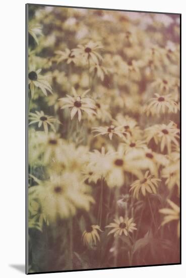 Yellow Flowers-Tim Kahane-Mounted Photographic Print