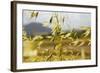 Yellow Flowers-George Johnson-Framed Photographic Print