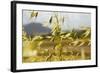 Yellow Flowers-George Johnson-Framed Photographic Print