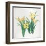 Yellow Flowers-Haruyo Morita-Framed Art Print