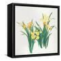 Yellow Flowers-Haruyo Morita-Framed Stretched Canvas