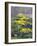 Yellow Flowers-Rusty Frentner-Framed Giclee Print