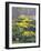 Yellow Flowers-Rusty Frentner-Framed Giclee Print