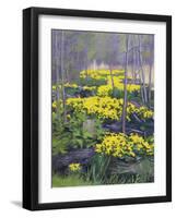 Yellow Flowers-Rusty Frentner-Framed Giclee Print