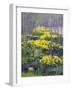 Yellow Flowers-Rusty Frentner-Framed Giclee Print