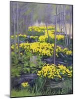 Yellow Flowers-Rusty Frentner-Mounted Giclee Print