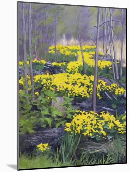 Yellow Flowers-Rusty Frentner-Mounted Giclee Print