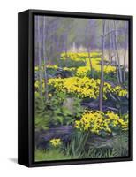 Yellow Flowers-Rusty Frentner-Framed Stretched Canvas